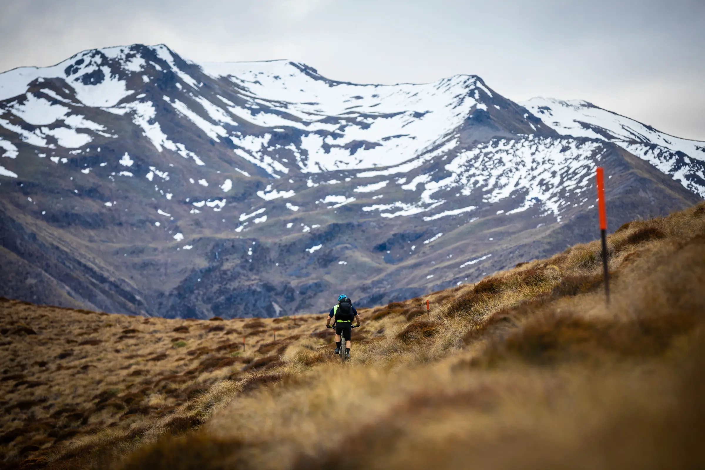 Mountain biker riding alpine tussock trail with snow-capped mountains