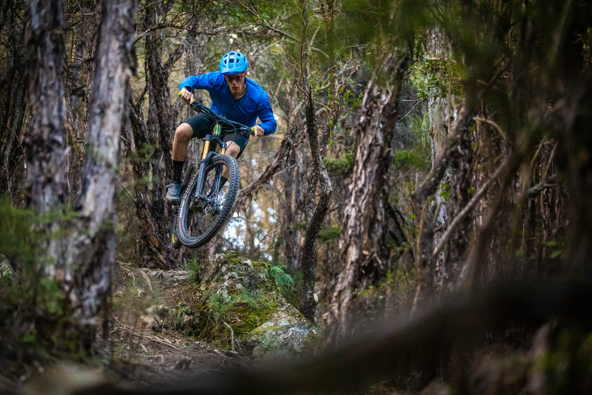 Mountain biker riding through native bush trails